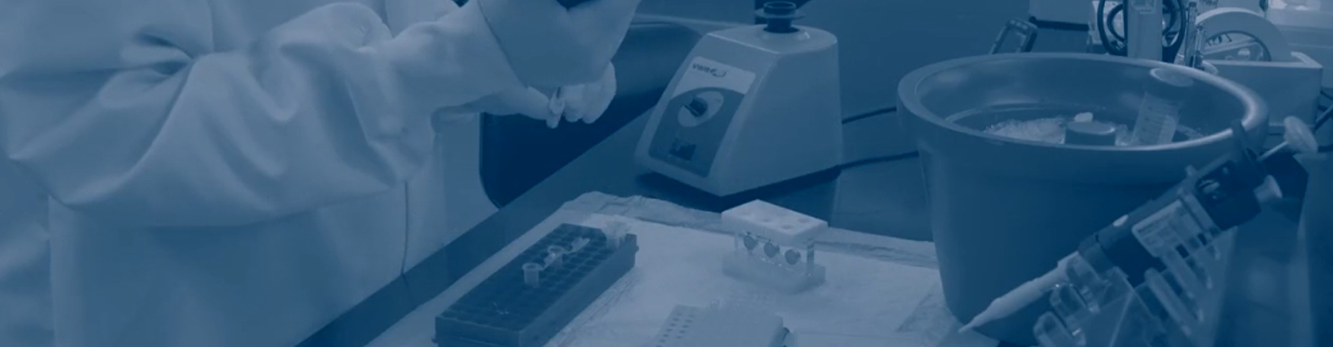 CST技術資訊-Immunoprecipitation Protocol